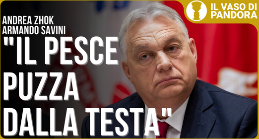 Crisi a cascata nell'UE - Andrea Zhok Armando Savini