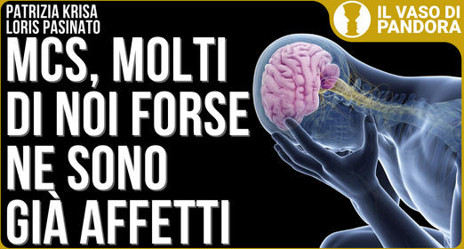 Le patologie invalidanti del progresso - Patrizia Krisa, Loris Pasinato